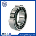 Double Row Cylindrical Roller Bearing